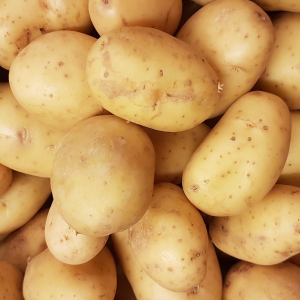 Pommes de terre "Jazzy" (kg)