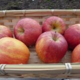 Pommes