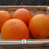 Oranges