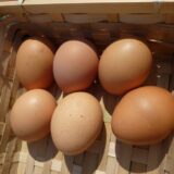6 Oeufs bio