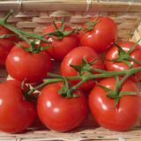 Tomate grappe