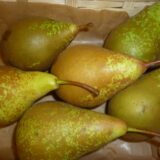 Poires