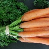 carottes (botte)