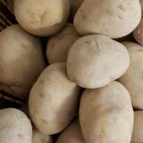 Pommes de terre "Blanche"