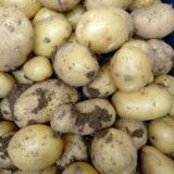 Pommes de terre nouvelles du jardin "Osiris" (kg)