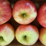 Pomme "Elstar" (kg)