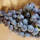 Raisins "Muscat" (kg)