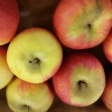 Pommes "Reine des Reinettes" (kg)